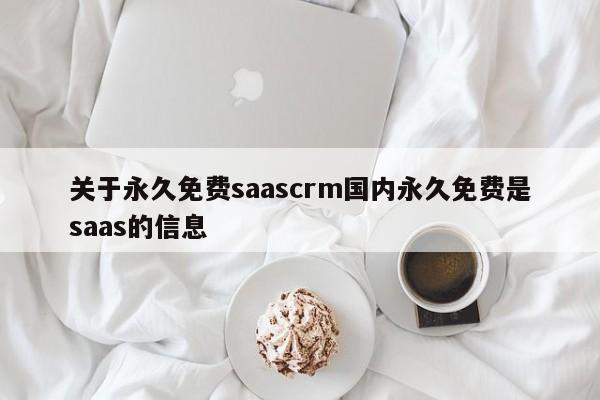 关于永久免费saascrm国内永久免费是saas的信息