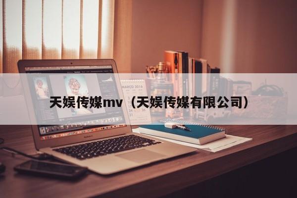 天娱传媒mv（天娱传媒有限公司）