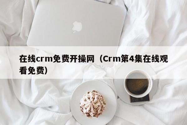 在线crm免费开操网（Crm第4集在线观看免费）