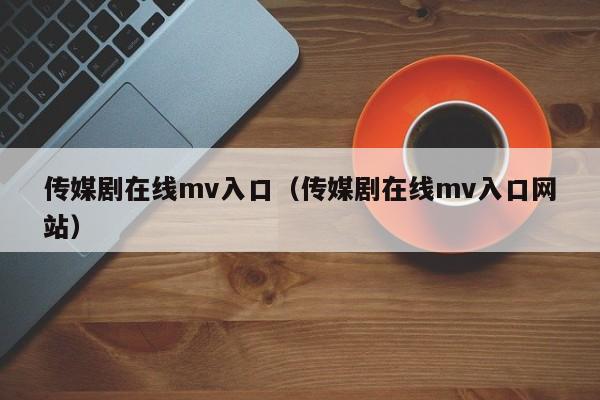 传媒剧在线mv入口（传媒剧在线mv入口网站）