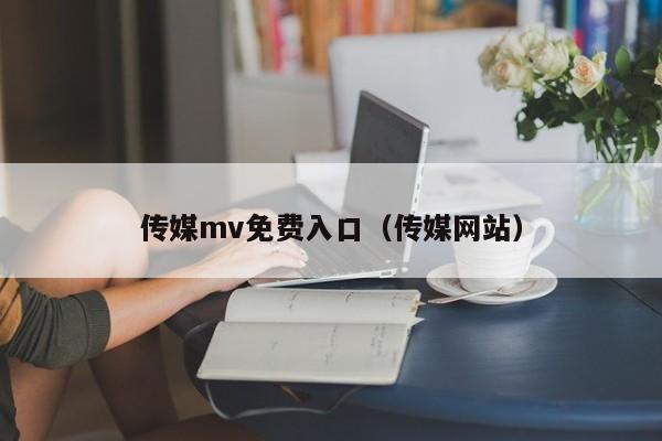 传媒mv免费入口(传媒网站)