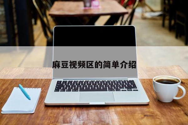麻豆视频区的简单介绍