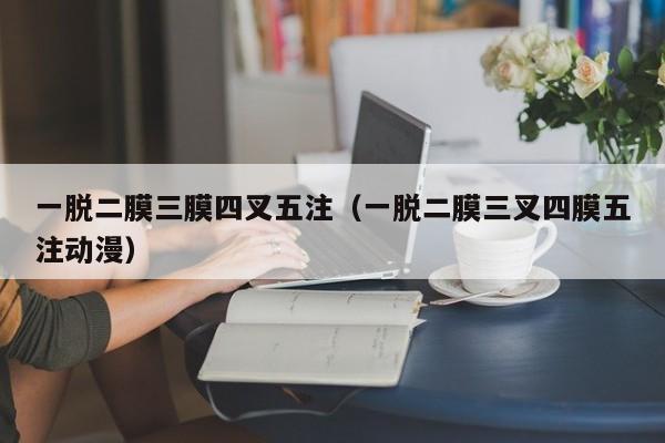 一脱二膜三膜四叉五注（一脱二膜三叉四膜五注动漫）