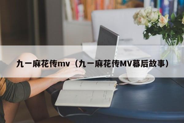 九一麻花传mv（九一麻花传MV幕后故事）