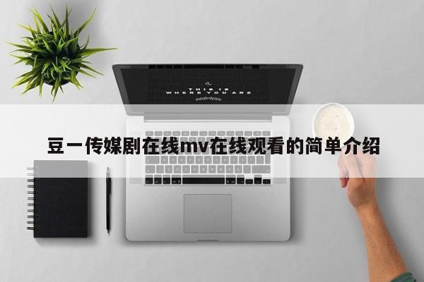豆一传媒剧在线mv在线观看的简单介绍